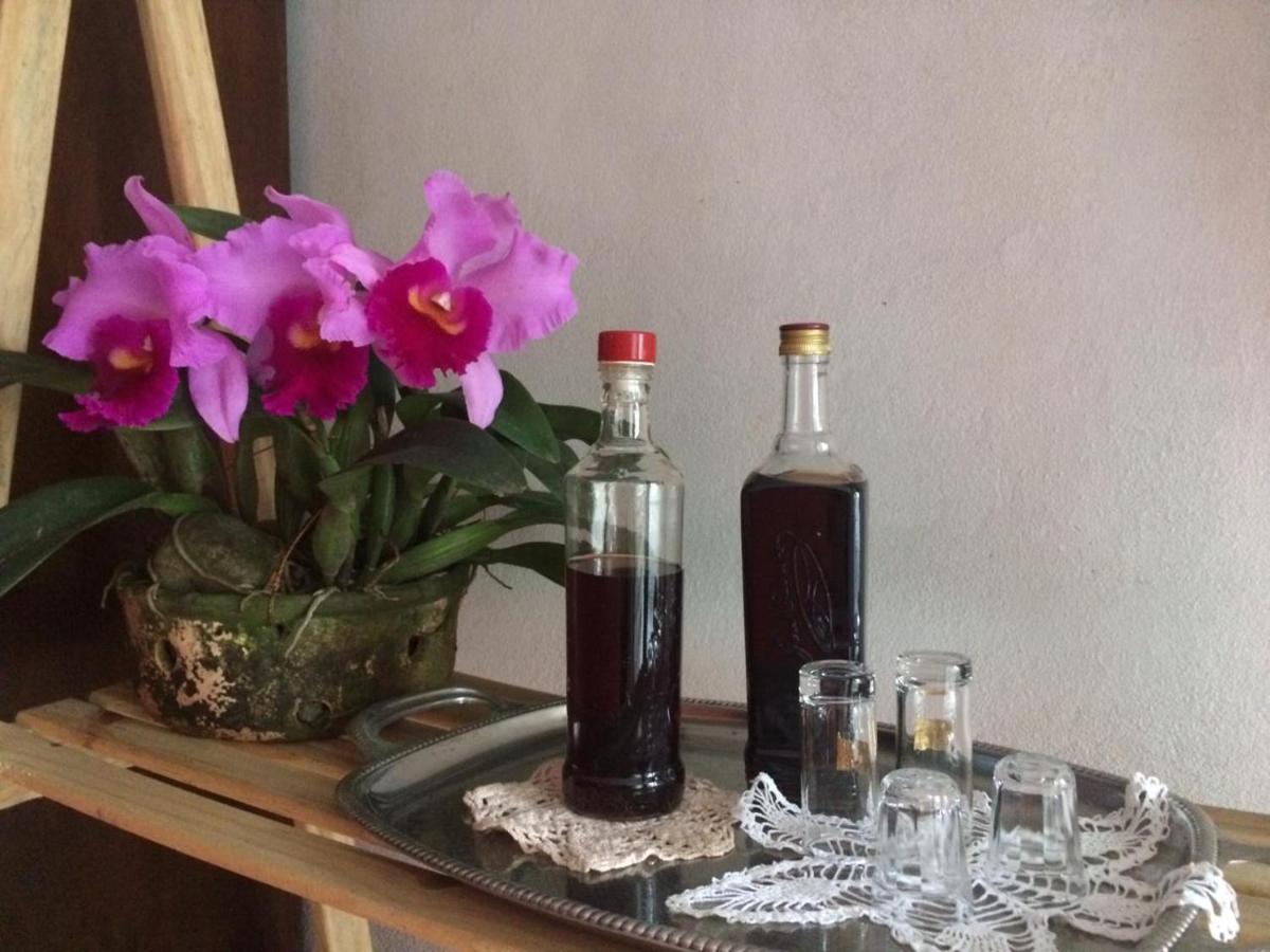 Homestay Casa Dona Hilda